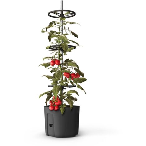 3x BURI Tomatenpflanztopf mit Rankhilfe Anthrazit Tomatentopf Pflanzkübel Pflanztopf Blumentopf Blumenkübel Kletterhilfe Anzuchttopf