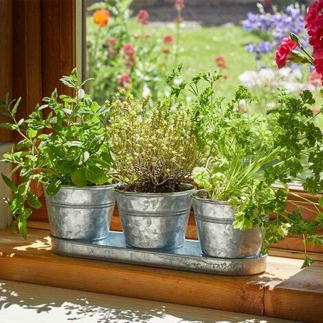 3x Galvanised Herb Plant Pots with Drip Tray for Home Kitchen Planters Traditional Indoor Window Sill, Planter Box Grow Your Own Herbs