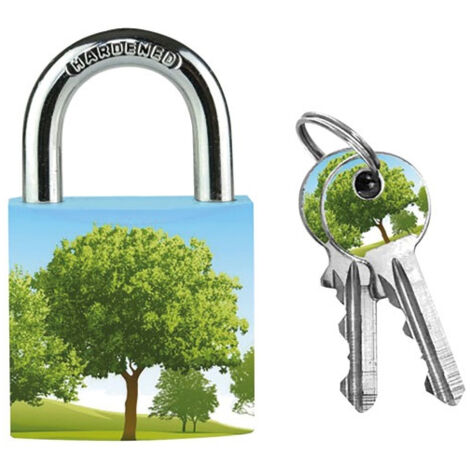 4 Cadenas En Métal Massif 30mm Motifs Assortis - Master Lock