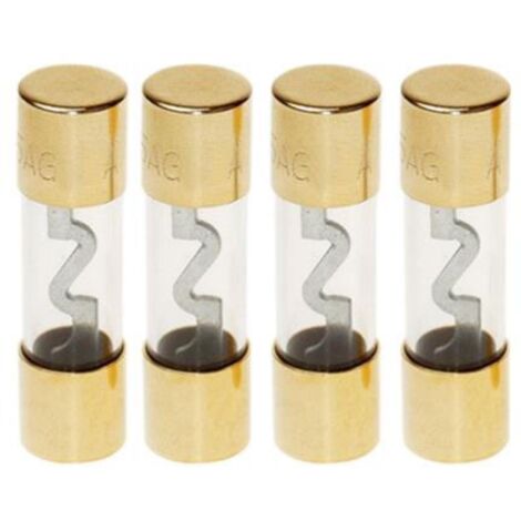 4 Fusibles AGU en verre 40A