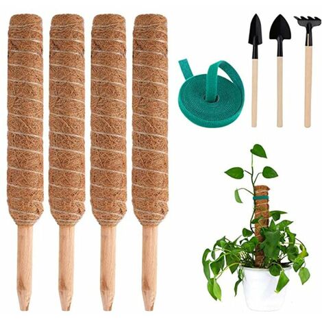 4 pezzi 40 cm picchetto per piante di cocco, bastoncini di cocco per piante, per piante rampicanti da giardino di casa Supporto per piantare estensibile