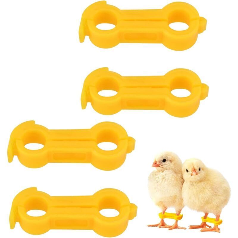Image of 4-Piece Treatment Rings for Birds with&hellip;