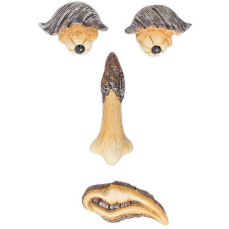 4-piece Tree Face with Brows