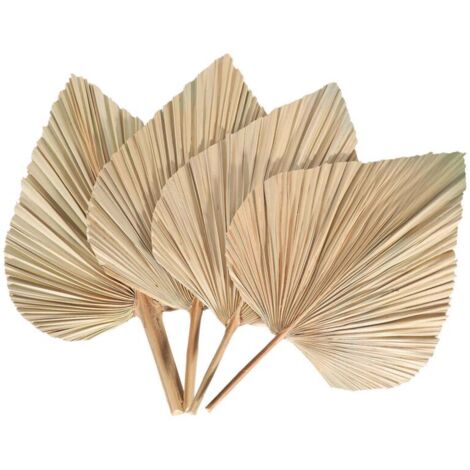 4 PièCes Feuilles de Palmier SéChéEs éVentails Palmiers SéChéS BohèMe Lances Plantes Artificielles Tropicales