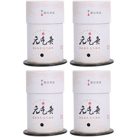 4 pièces Tube Moxa sans Fumée pour Acupuncture et Massage, Boîte à Moxibustion
