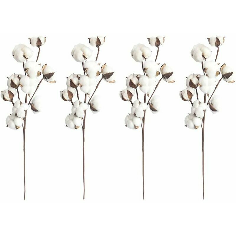 4 tiges de coton blanc naturel, 10 capsules de coton par tige, 53,3 cm, pics à fleurs, style campagnard, décoration.