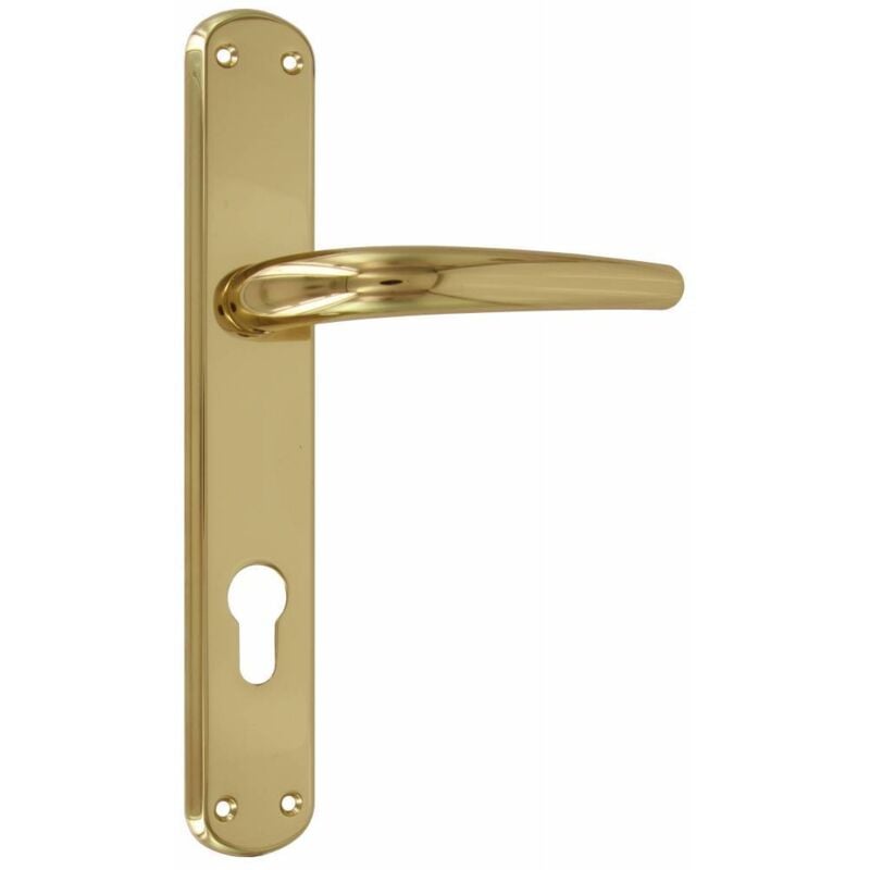 4 x poignée bl torino f.y. olv