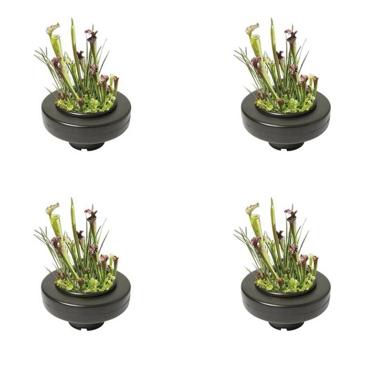 4 x Panier flottant 30 cm de diamètre pour plantes de bassins de jardin et étangs