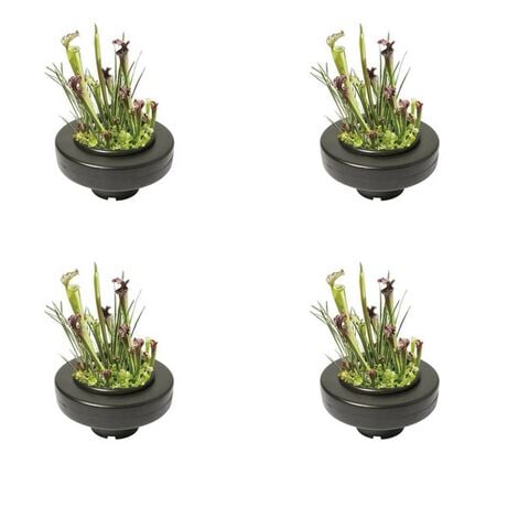 4 X Panier flottant 30 cm de diamètre pour plantes de bassins de jardin et étangs