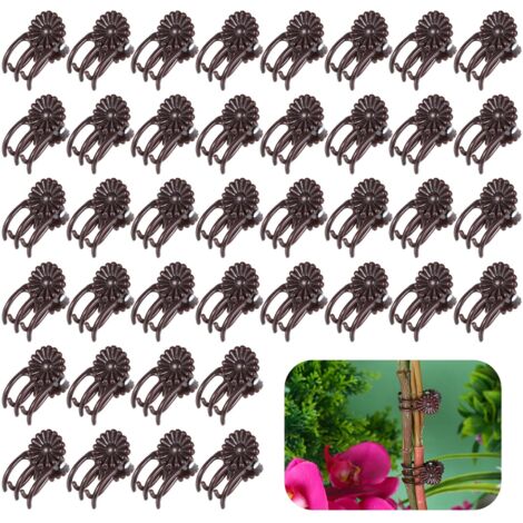 40 pezzi di clip per orchidee per piante rampicanti, piante rampicanti, viti rampicanti, supporto per piante rampicanti