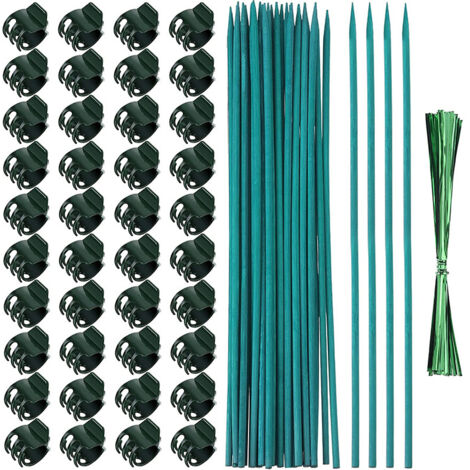 40 pinces à orchidées en plastique pour plantes de jardin, 20 tuteurs en bambou vert et 20 attaches métalliques.