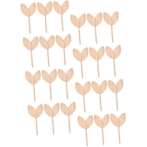 40 Stück Pflanzenetiketten aus Holz für Sukkulenten, Pflanzgefäße, Pflanzen aus Holz, für Gärten, Pflanzenetiketten, Gartenpflanzenmarkierungen, Pflanzenmarkierungen für den Garten