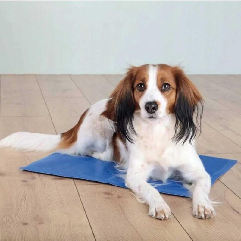 

Alfombrilla Refrescante, 40 × 30 cm, Azul - Trixie