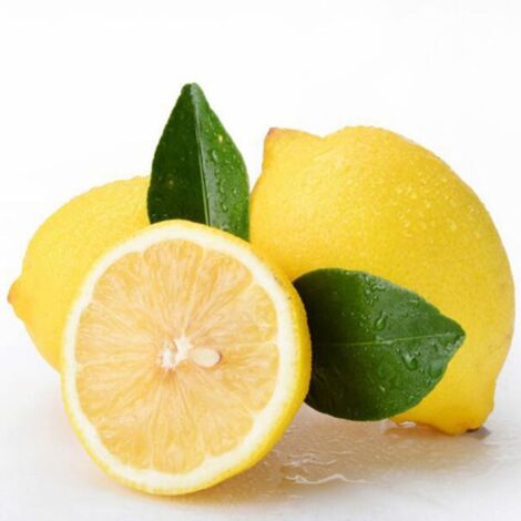 400 Lemon & Fruit Seeds for Balconies, Fruit Seeds, Ideal for Terraces