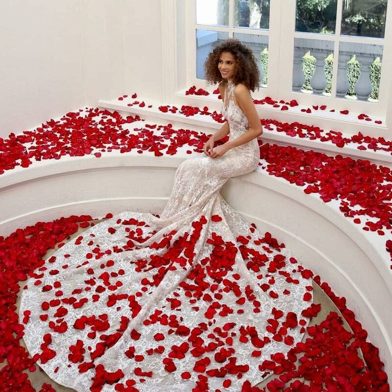 Ineasicer - 4000 Pièces Pétales de Rouges Artificiels, Saint Valentin Decoration Pétales de Rose Petale Rouge Romantique Décor pour Saint