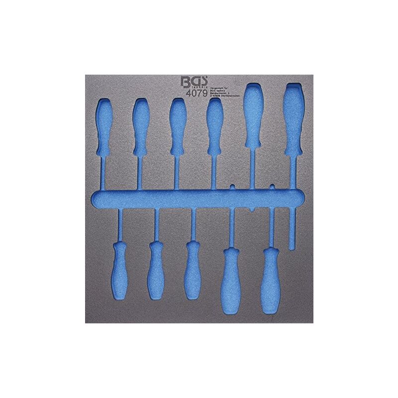 Bgs Technic - 4079-1 bgs 2/3, vide pour: tournevis de profil t, T6 tapis de chariot T40, 11 pièces