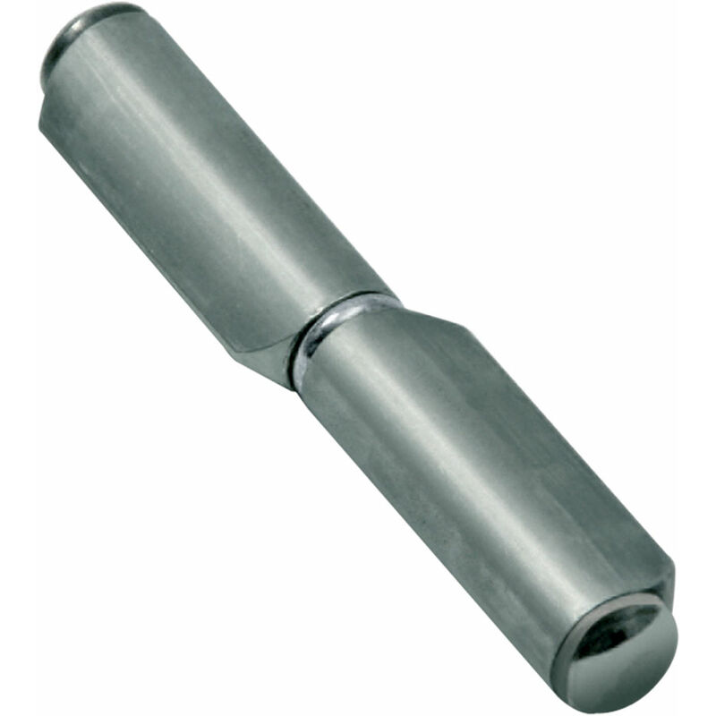 40PZ cerniera con costa 'futura' ART.570 mm 100