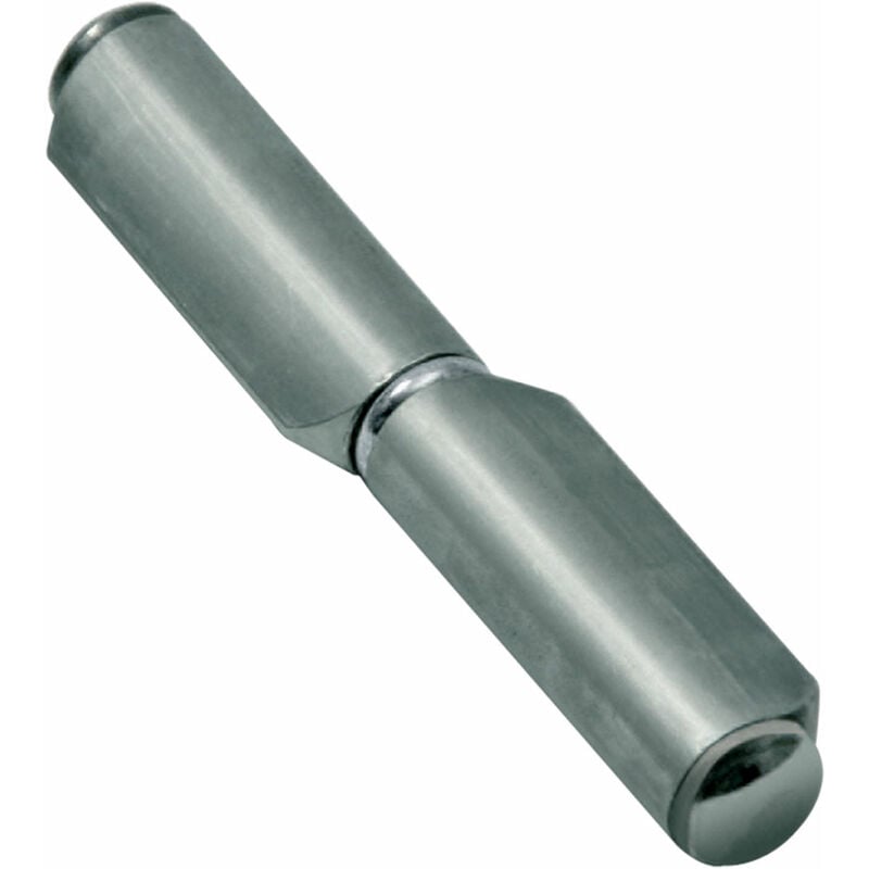 40PZ cerniera con costa 'futura' ART.570 mm 139