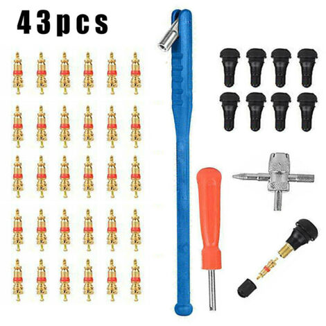 43pcs Kit Outil de Tire Repair, 30pcs Valve Core, 10pcs Voiture Valve de Pneu, pour Kit Outil de Installation Réparation de Valve de Pneu