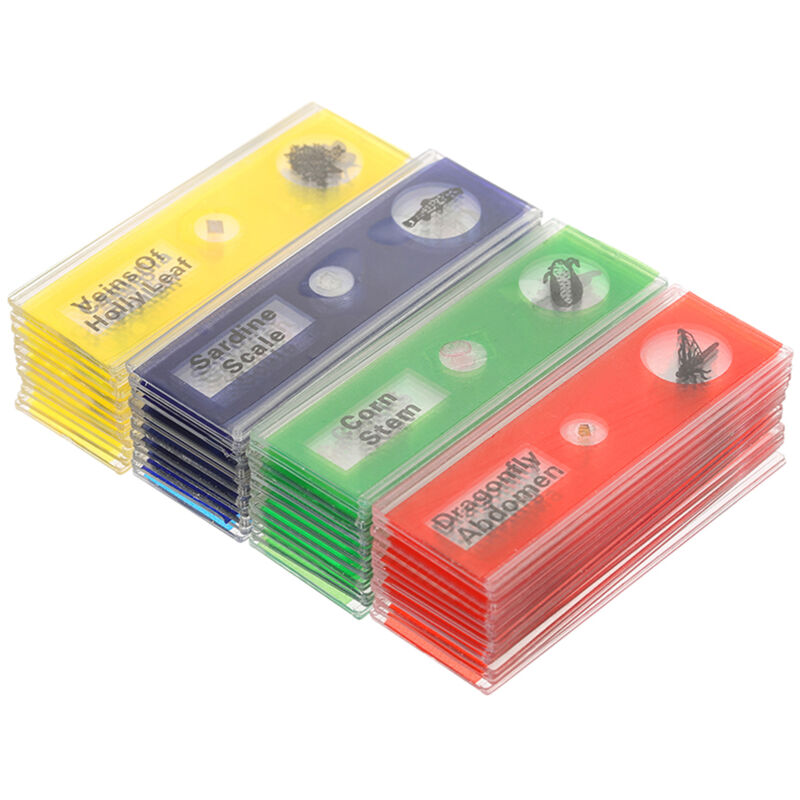 48 Pièces Lames De Microscope Pour Échantillons Biologiques De Plantes Insectes