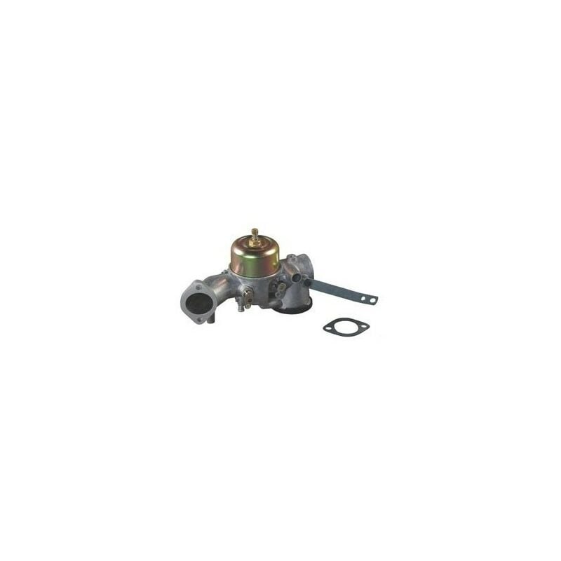 491031 - Carburateur complet pour moteur Briggs et Stratton