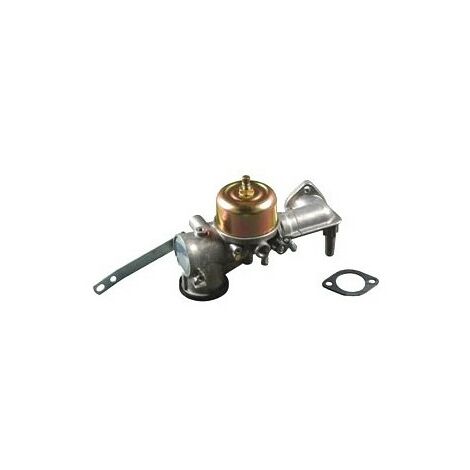 491590 - Carburateur complet pour moteur BRIGGS et STRATTON