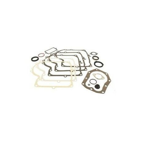 494241 - Pochette de joints pour moteur BRIGGS et STRATTON