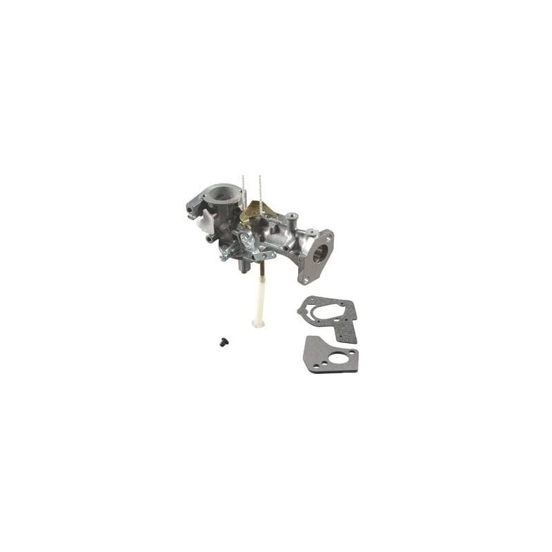 Briggs&stratton - 495459 - Carburateur complet pour moteur briggs et stratton