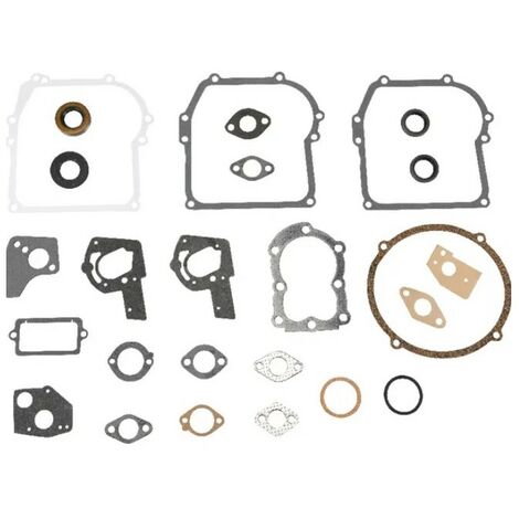 495602 - Pochette de joints pour moteur Briggs et Stratton