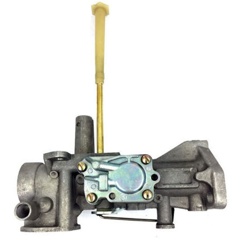 498298 Carburateur pour moteur Briggs & Stratton 5HP 495426 495951 492611 490533 692784 Carb 135200 135202 132232 130200 130202 111 2200. 112232