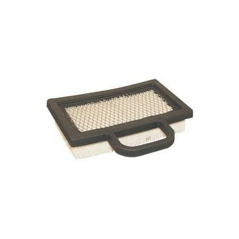 Briggs and Stratton 496894S Cartouche pour filtre /à air authentique