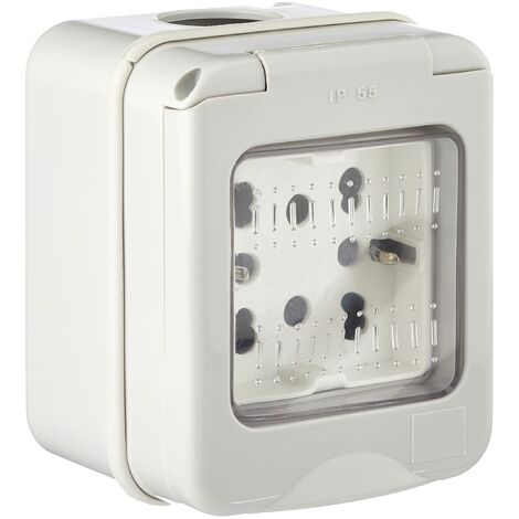 4Box 4B H21 Contenitore Ip55 Completo di Presa Side, 250 V, Grigio