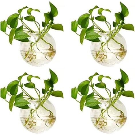 4er-Set hängende Glaspflanzgefäße, 10 cm Durchmesser, runde Glastöpfe – Wasservasen, Luftblumenvasen, Pflanzenterrarien, Pflanzbehälter