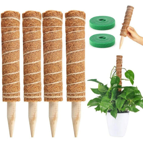 4pcs tige de mousse, tige de mousse de noix de coco pour plantes grimpantes, support extensible réutilisable pour plantes à fleurs 30 cm