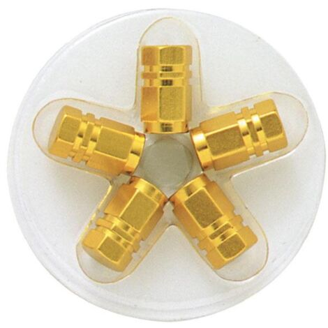 5 bouchons de Valves - Dores - Hexagonaux