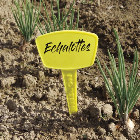 5 etiquetas para plantar Etiqueta 35 - Amarilla - 35cm Nortene