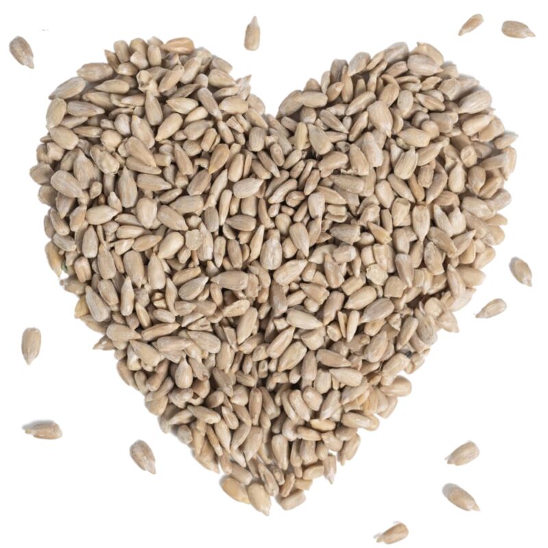 Lyra Pet - 5 kg de graines de tournesol ® pelées hk Bulgarie