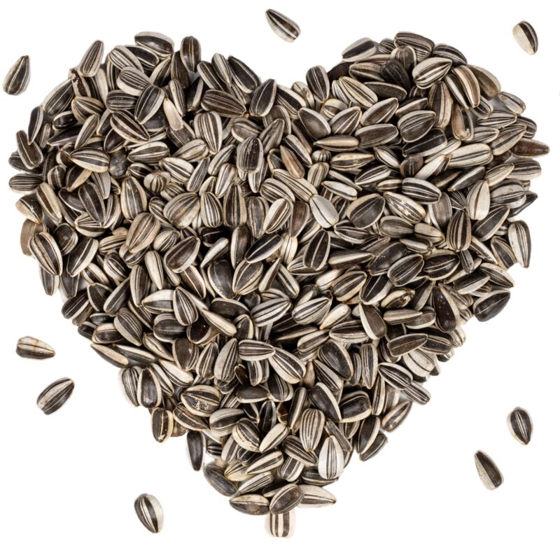 Lyra Pet - 20 kg de graines de tournesol ® rayées hk Bulgarie