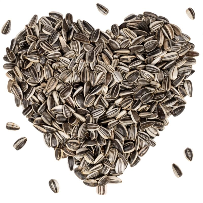 Lyra Pet - 5 kg de graines de tournesol ® rayées hk Bulgarie