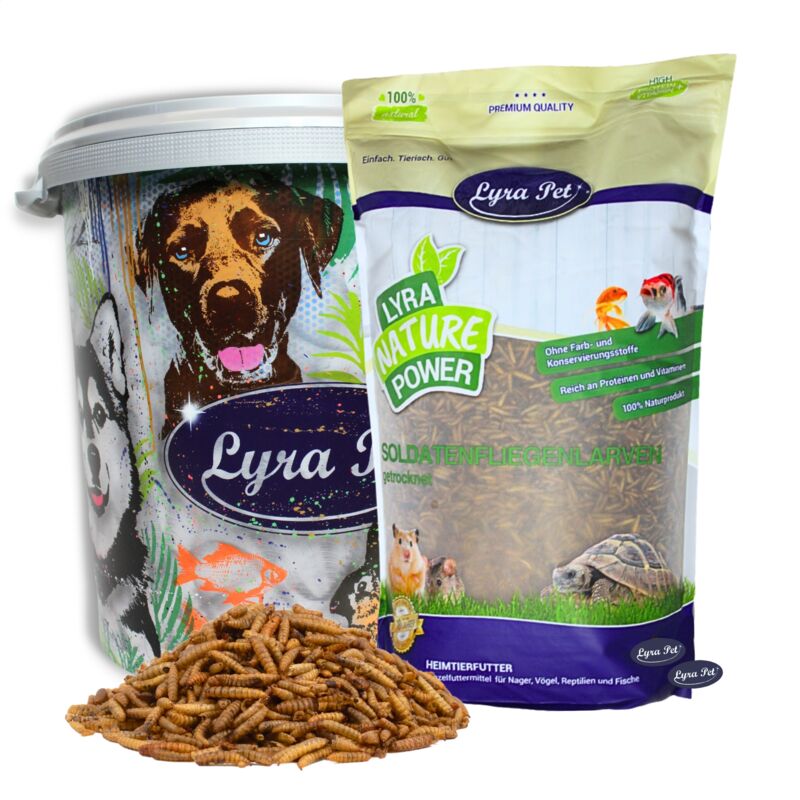 Lyra Pet - 5 kg de larves de mouches soldats ® dans un bac de 30 l