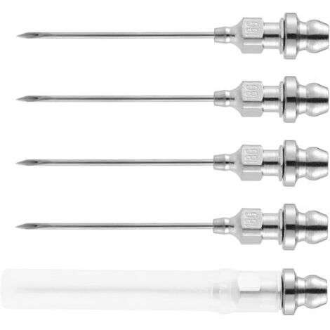 5 pcs Aiguille d'Injecteur de Graisse, Petit Aiguille Pompe à Graisse de Roulement Aiguille de Graisse Portable et Amovible pour Joints à Rotule