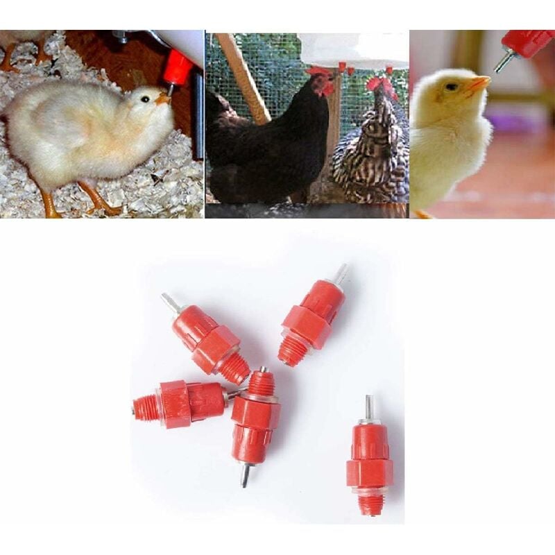 Beijiyi - 5 Pcs Eau Tétine Abreuvoir Poulet Mangeoire Volaille Fournitures Poule Vis dans Le Style