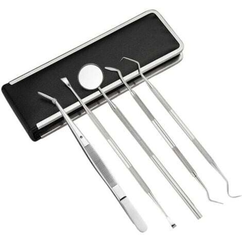 5-Piece Stainless Steel Dental Tool Kit for Dentists, Tooth Scraper Set for Personal and Professional Use