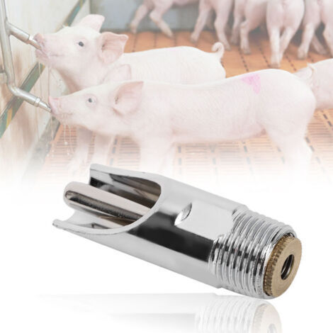 5 Pièces Abreuvoir Automatique Plat pour Porcs Équipement d'Élevage Amovible