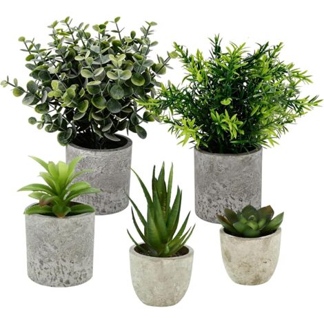 5 Pièces Plantes Artificielles Interieur, Mini Plantes Succulentes Agave, Aloe Griffe d'aigle, Serpentine, Plantes en Pot pour Décoration Bureau, Chambre, Cuisine et Salle de Bain