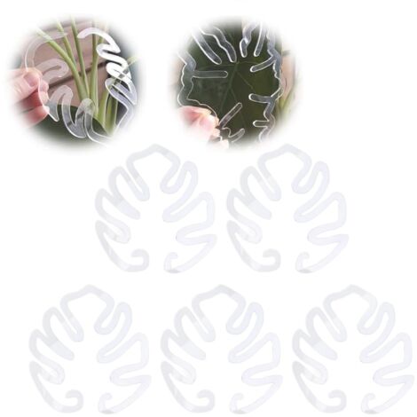 5 pinzas acrílicas para plantas – Soportes para macetas – Pinzas estéticas