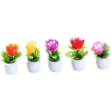 5 pots à orchidées transparents avec plateau XXX