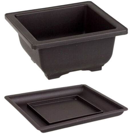 5 pots à orchidées transparents avec plateau XXX