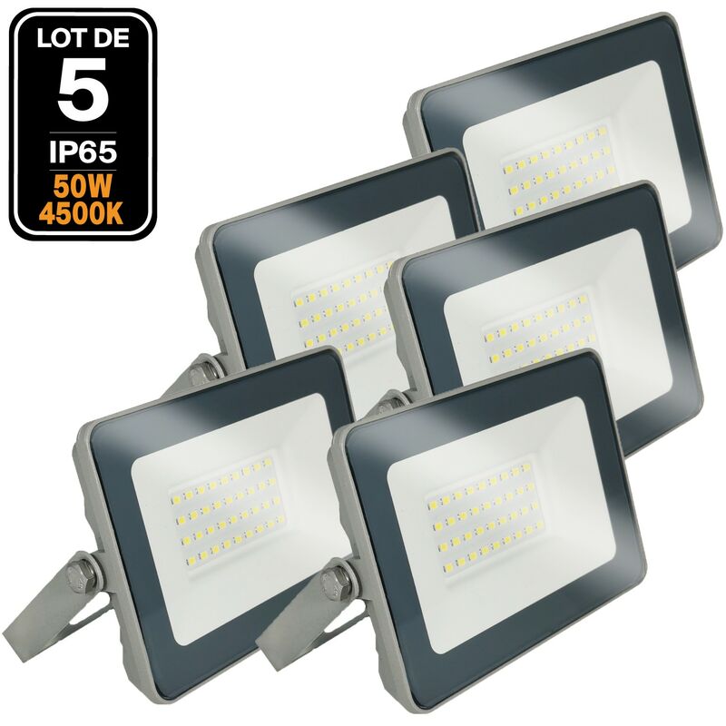 5 ProLine 50W Proiettori led Bianco freddo 6500K Alta luminosità