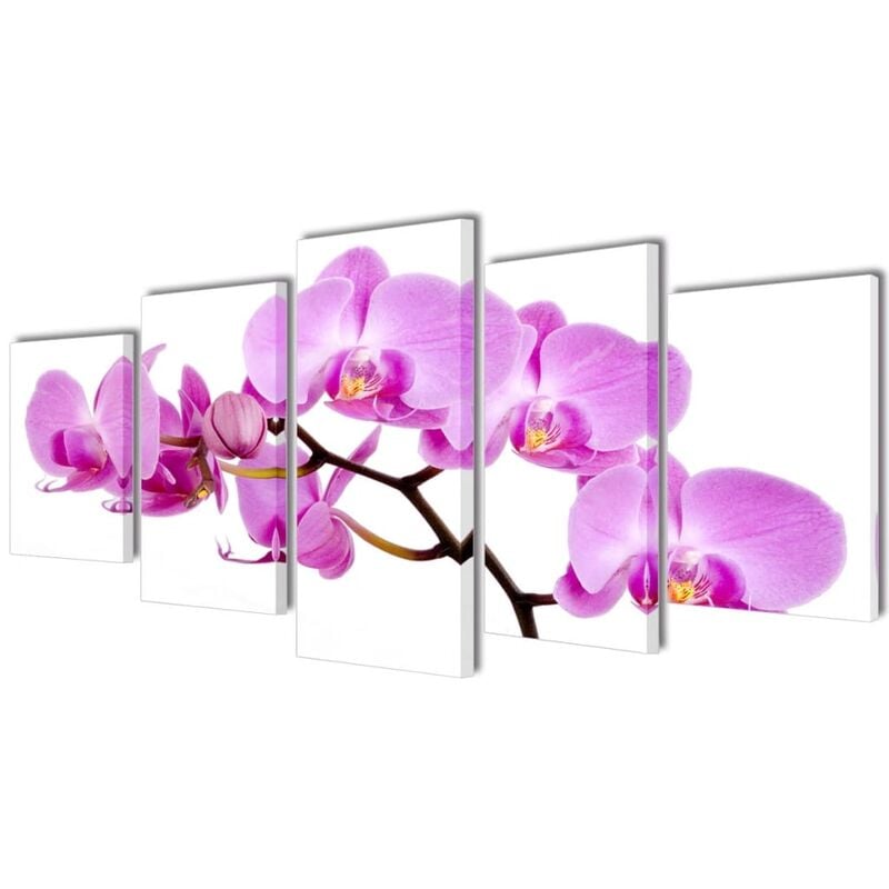 5 pz Set Stampa su Tela da Muro Orchid�a 200 x 100 cm